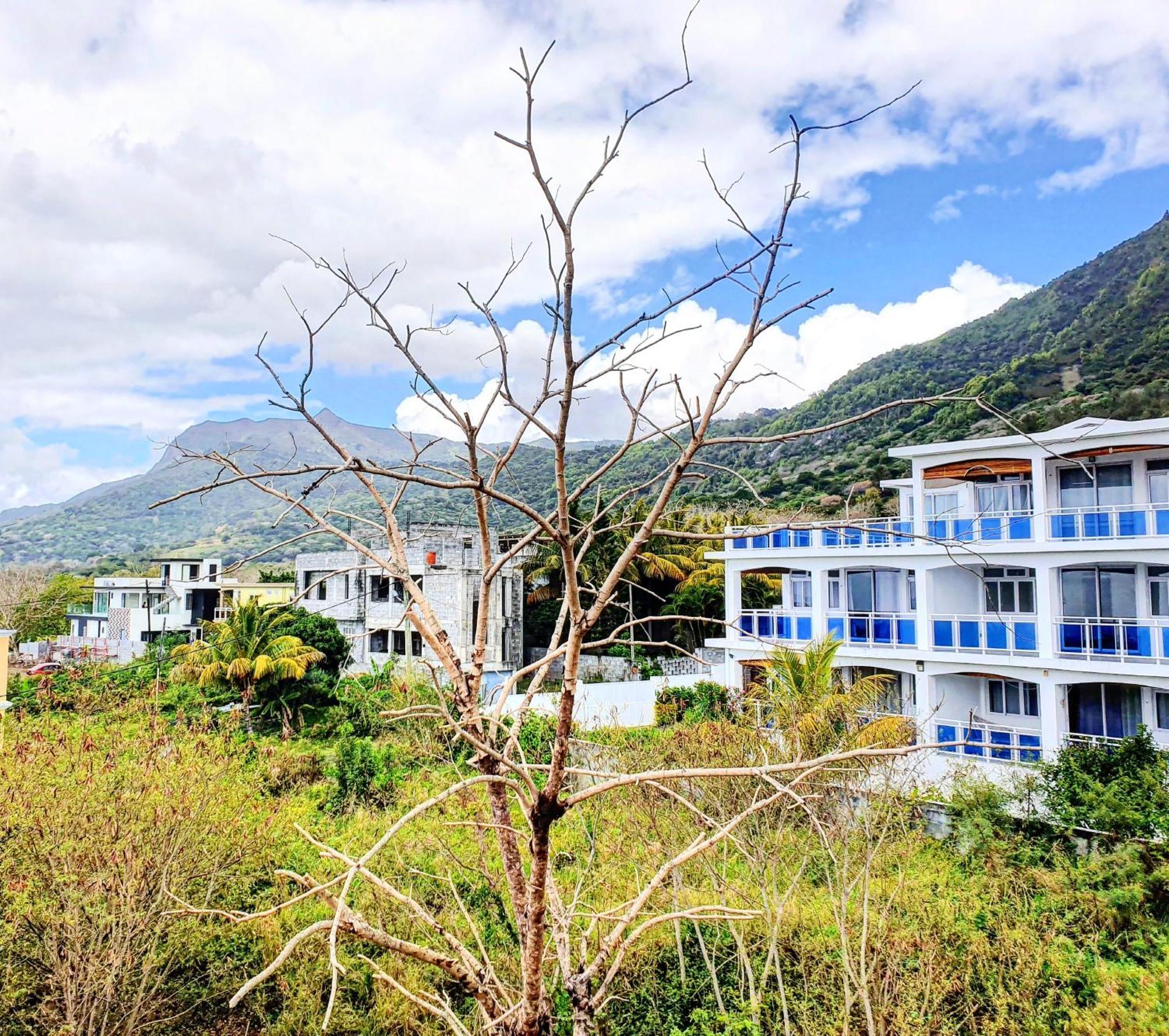 Surf House Hotel La Gaulette Værelse billede